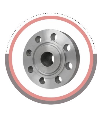 RTJ Flanges